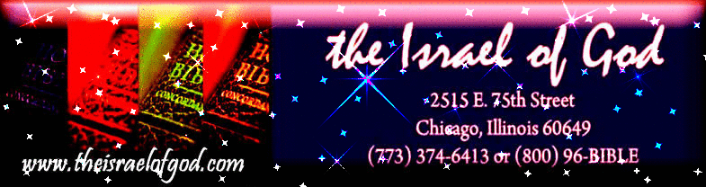 IOG Banner